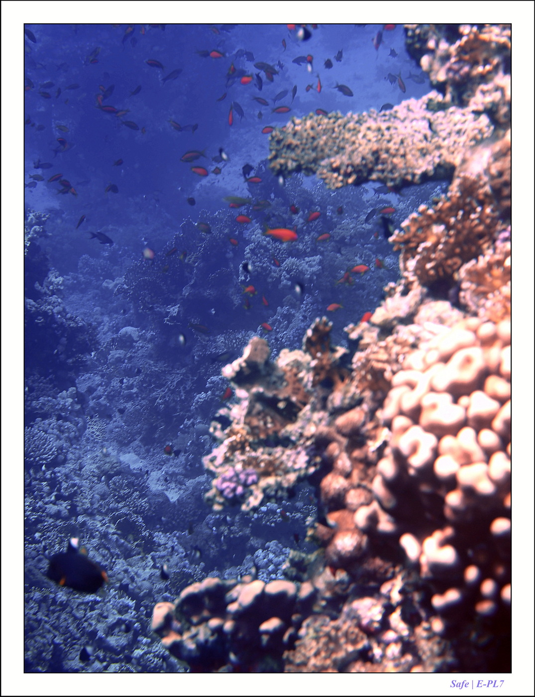 2023 - 03 - Charm El Sheikh - 22